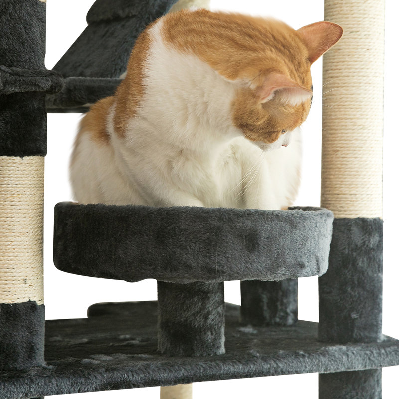 Tucker Murphy Pet™ 75" Amariani Large Cat Condo & Reviews Wayfair